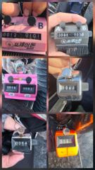 쭈갑조황 글만 보기 사진