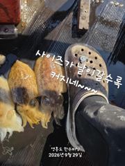 9월 29일 쭈갑이 독배! 사진