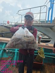 9월29일 팀보스선단 문어 조황 사진