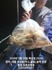 [통영] 통영 금정호 오전문어선상 내일 정상출항! 자리있습니다 주말 자리… 사진