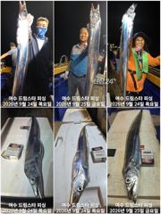 (여수 드림스타)왕갈치ㆍ돌문어사냥 나갑니다. 사진