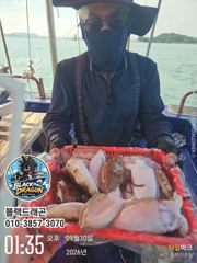 [사천] 갑오징어 씨알 제대로 붙었습니다! 중치급 이상 따박따박 사진
