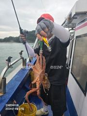 [진해 문어낚시]묵직하게 올라오는 돌문어 찐한 손맛~! 내일도 달립니다^0^ 사진