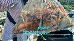 [통영] 사랑도문어 철수조황입니다 사진