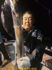 [진해] 내만갈치 풍년! 손맛 제대로 봤습니다 목금일 예약가능