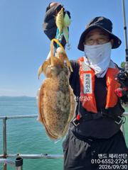 사량도 문어 + 신발짝 갑오징어 (2일까지 선비 6만원) 사진