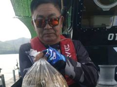 [사천] 왕쭈꾸미 쩍쩍 달라붙습니다 사진