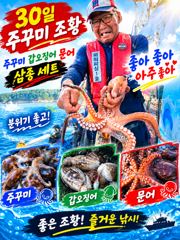 주꾸미~30일~굿조황~내일~예약받습니다. 사진