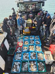 9월30일 갑오징어 조황 사진
