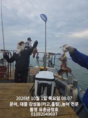 [통영] 통영 금정호 오전문어 시작부터 신나게 올라옵니다 내일과 주말 자… 사진
