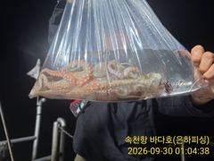 [진해] 야간 문어 출조 안내 가는 포인트마다KKK 오늘 예약가능 황제낚… 사진