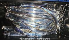 준내만 4지급 텐빈 갈치 가득 쿨러 조항!! 내일 무조건 출항