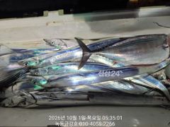 녹동금강호 갈치조항2일4일5일예약중.자리지정예약제 1인2대가능 010-4058-2266 사진