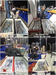 (여수 드림스타)이번주 돌문어사냥! 다음주 왕갈치사냥 나갑니다. 사진