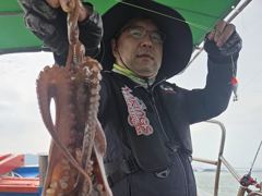 [사천] 삼천포 광용호 쭈꾸미 조황입니다~!! 사진