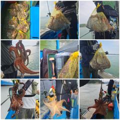 삼천포 제일호 돌문어 조황!! 사진