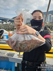 사량도 어장으로, 섬치기로 ~(내일까지 선비 6만원) 사진