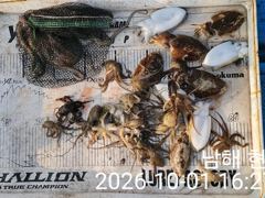 감시와 갑쭈 사진