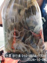 2시간전 [남해] 10월 1일 남해 갈화 강바다호 문어 선상조황 사진