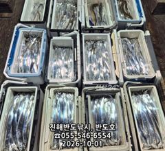1일,내만갈치,호조황연속,엄청나게 나옵니다,내일출항(금,월~예약가능) 사진
