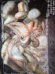 ~~*1일돌문어 마리수 제법올라옵니다~(예약가능)*~~ 사진
