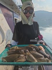 (건담호)1일 갑오징어 또또 굿굿^^ 담주 자리여유 사진