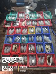 [팁런] 원도권.K무시급들(금요일 출항확정)