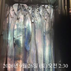 [통영] [ 갈치 텐빈 텐야 ] 서쪽 먼바다 부터 갈도권 까지