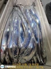 실시간 ㅡ내만칼치 엄청올라옵니다 손맛굿굿 쿨러빵빵(오늘예약가능) 사진