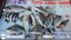 [통영] 통영현대레저)감성돔입 4짜외조황 사진