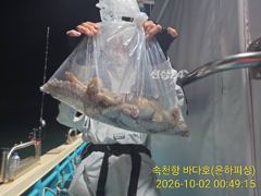 야간문어 사이즈 장난 아님.1.8k 1k다수 다수 최고14수 12수 10수 오늘 예약가능 사진