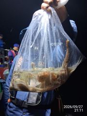 대물 돌문어사냥 고고고! 사진