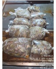 7명 씨알 마리수 조항입니다 사진