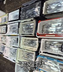 [진해] 2일,내만갈치,담뱃갑 씨알에,엄청나게 나옵니다,오늘7자리(금,일… 사진