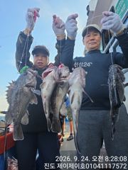 [해남,진도] 진도제이제이 10월3일갈치.4일갈치.우럭병행출조 사진