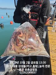 [통영] 통영 금정호 문어낚시 엄청난 바람에도 묵직하게 가져갑니다 일요일… 사진