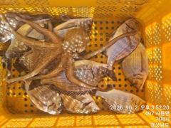 [거제] 가조도 청곡연합레저 선외기 땐마조황 사진