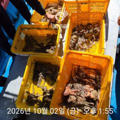 [사천] 암초 포인트 문어 낚시 사진