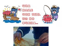 [서천,보령] 무창포_킹피싱_킹피쉬호_10월_2일_갑오징어_조황_입니다. 6일… 사진