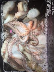 ~~*돌문어 마리수로 손맛 굿~~(일요일예약가능)*~~ 사진