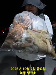 10/2일 야간 문어 조황입니다 사진