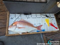 ★★아리울2호★★너울속 참돔 70수 오버!(10/2) 사진
