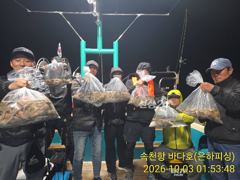 야간문어 조황 물때가 좋아 여기저기 히트 초보도 가득 일요일 오후 예약가능 사진