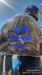 왕주꾸미 퍽퍽/대박이네 ~화요일부터 고고싱 사진