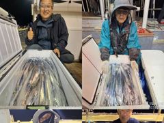 [완도 청산호] 26.10.02 씨알 좋은 갈치 조황 입니다. 찾아주신 조사님들 감사합니다. 사진