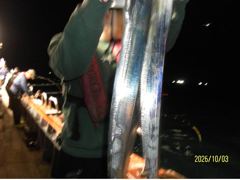 [여수,광양] 10/3 여수대박호 백도권 씨알좋은갈치 조황입니다 6일부터 자리… 사진