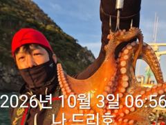 3일, 군산은 지금 ~싸이즈 좋은 덩치급 문어가~ 잘나오고 있어요~실시간~군산낚시프라자 나드리호 사진