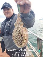 ★★ 10/3 {군산 대일피싱} 마루호 실시간 갑오징어 조황~! 사진