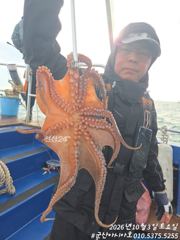 [군산아시아호] 문어 실시간 10/3 사진