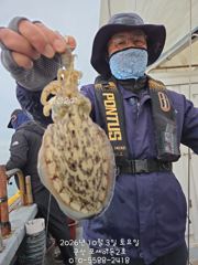 3일,군산 쭈꾸미랑,갑이랑~~잘 나오고 있어요~실시간~군산낚시프라자 포세이돈 2호 사진
